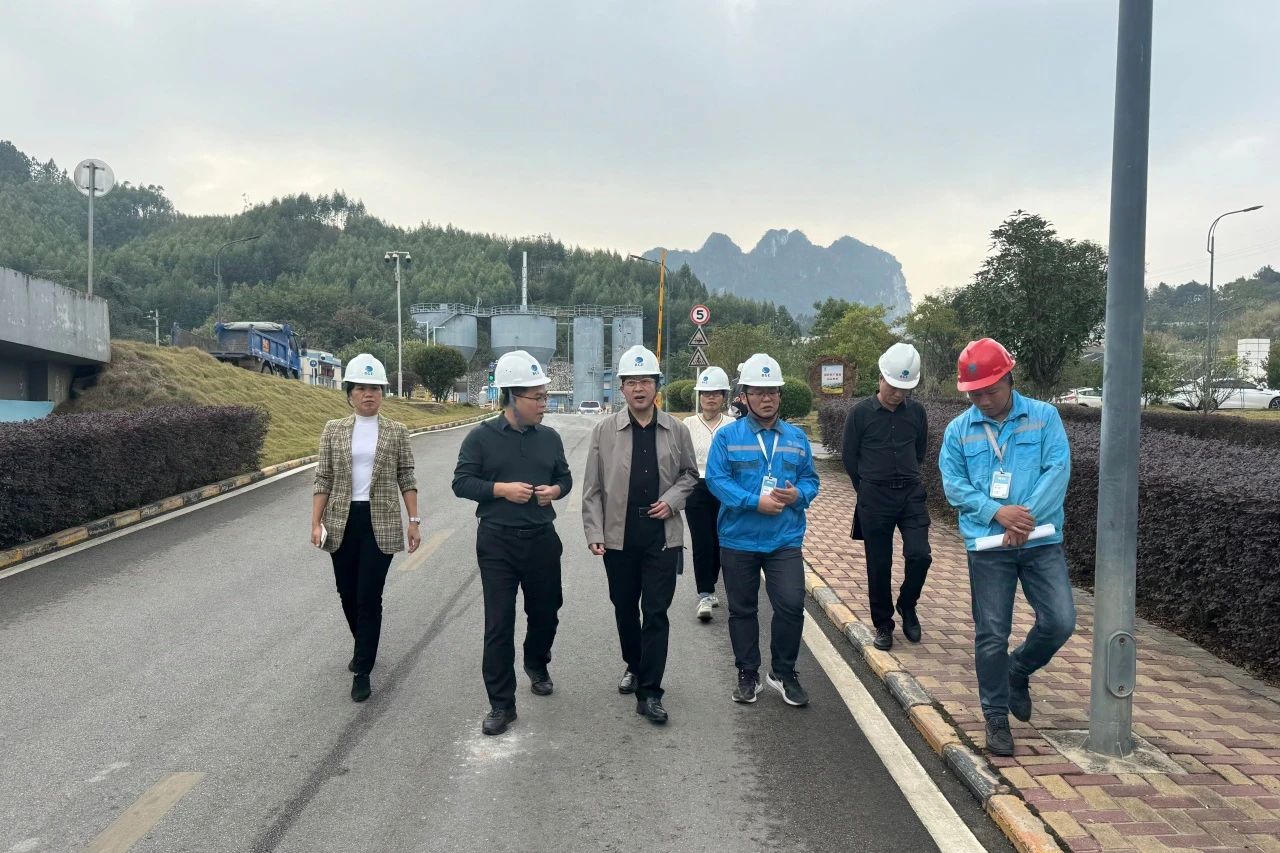 1740554827561152.jpg 2.jpg