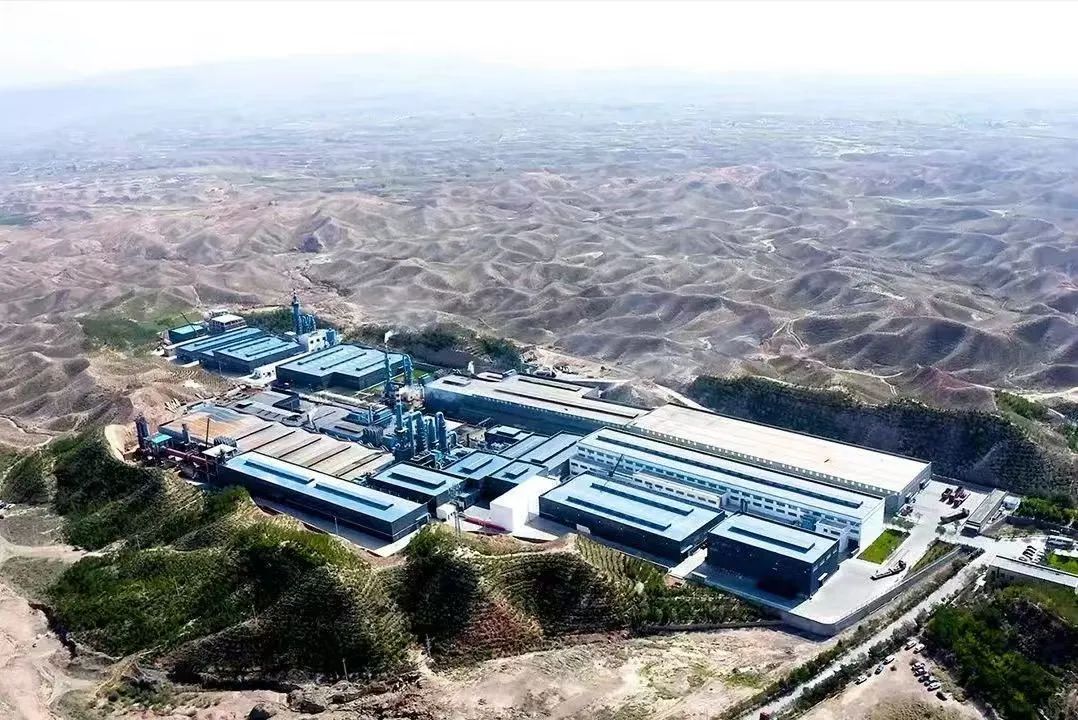 1740557003788376.jpg 2.jpg