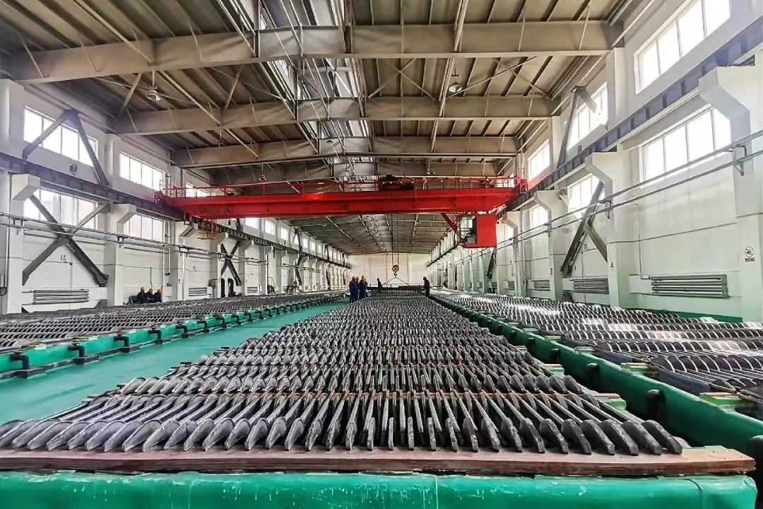 1740557029282852.jpg 3.jpg