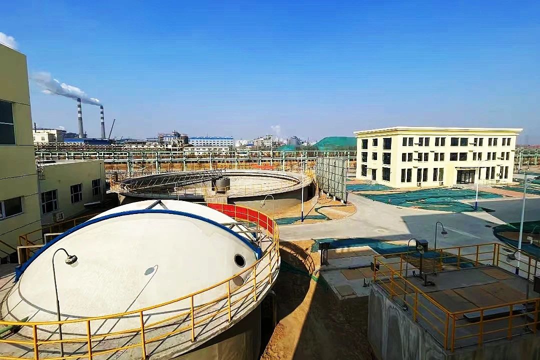 1743149645995106.jpg 3.jpg