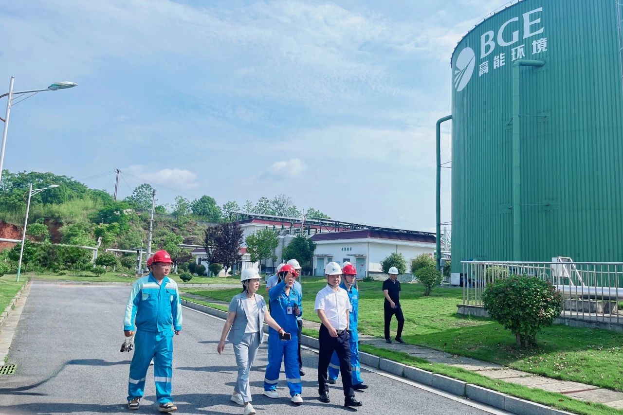 1748415708637241.jpg 1.jpg