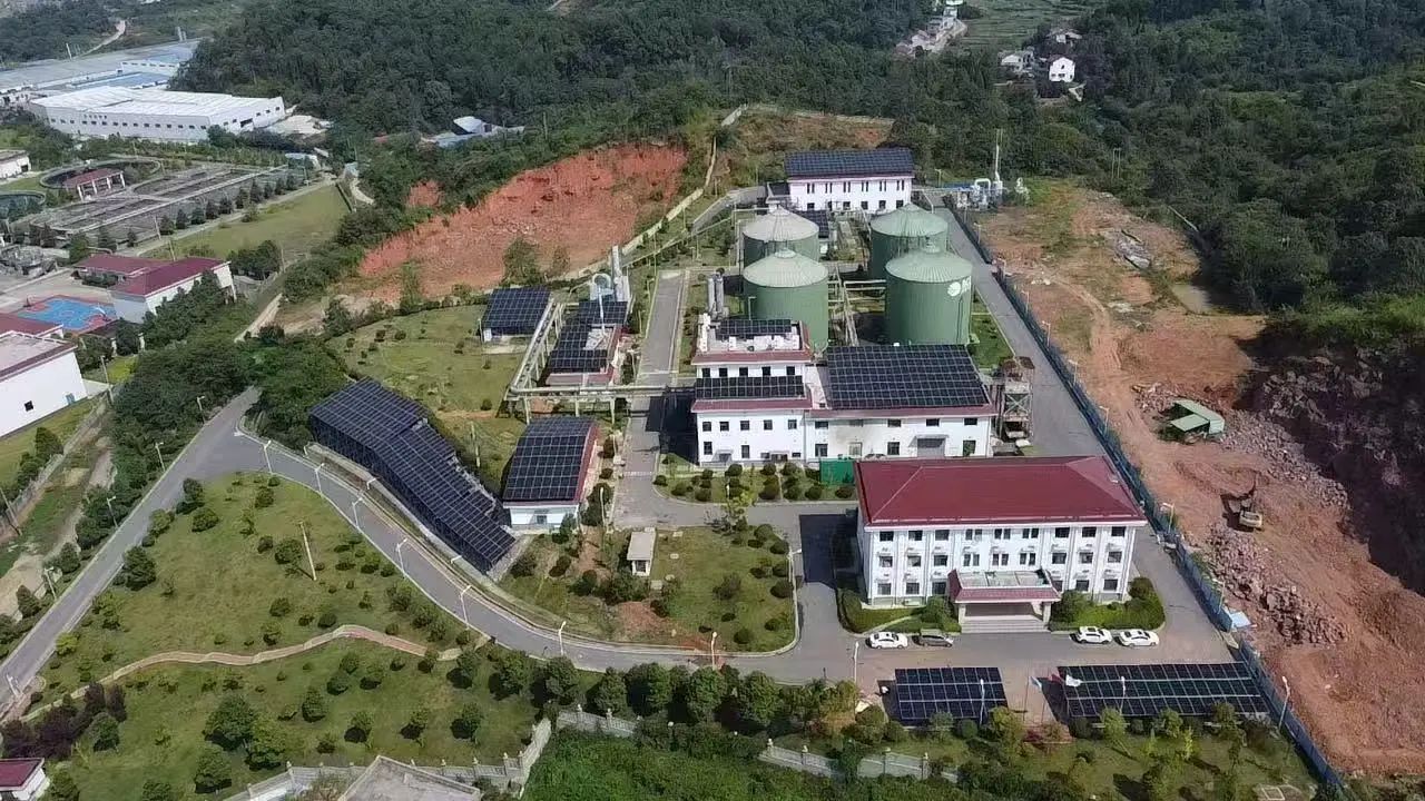 1748415861581808.jpg 3.jpg